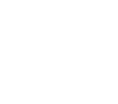 Felina Genève logo